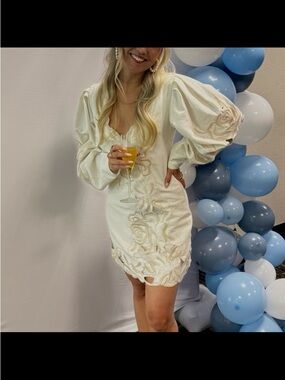 Size 2 ASOS ARRANGE placed floral cutwork volume sleeve mini bridal shower dress